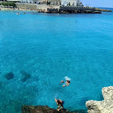 Da Zero A Cento فيلة